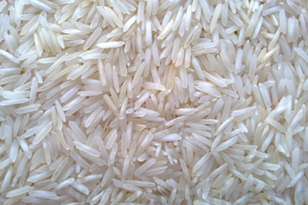 1151 Sella Rice
